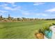 Well-maintained backyard featuring a manicured lawn and tasteful landscaping, ideal for outdoor enjoyment at 753 Blue Iris Way, Summerville, SC 29486