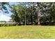 Large green backyard featuring mature trees and luscious green grass at 107 Sugarpine Pl, Summerville, SC 29486