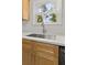 Close up of the sink, faucet and cabinets with a window at 107 Sugarpine Pl, Summerville, SC 29486