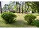 Lush backyard with sprawling lawn, mature trees, and a swing set, ideal for relaxation and play at 1457 Green Pond Hwy, Walterboro, SC 29488