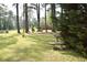 Tranquil backyard setting with mature trees, featuring a stone bench and swing, perfect for relaxation and enjoying nature at 1457 Green Pond Hwy, Walterboro, SC 29488