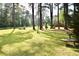 Expansive backyard featuring lush green grass, mature trees, and a tranquil garden bench at 1457 Green Pond Hwy, Walterboro, SC 29488