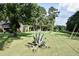 Spacious front yard with unique agave plant, partially obscured view of brick home, and towering mature trees at 1457 Green Pond Hwy, Walterboro, SC 29488