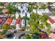 Neighborhood aerial view, colorful houses and tree canopies at 176 Smith St, Charleston, SC 29403