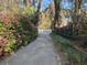 Charming driveway lined with lush azaleas leading to a lovely home with a white picket fence at 208 Sumter Ave, Summerville, SC 29483
