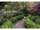 Lush garden path with manicured hedges and vibrant blooming azaleas at 208 Sumter Ave, Summerville, SC 29483