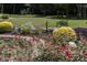 Beautiful backyard garden with a variety of colorful flowers, bushes and trees in a landscaped yard at 208 Sumter Ave, Summerville, SC 29483