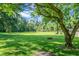 Expansive green backyard with fire pit, perfect for outdoor gatherings at 286 Mallard Lake Rd, Dorchester, SC 29437