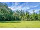 Expansive grassy backyard surrounded by lush trees, offering privacy and tranquility at 286 Mallard Lake Rd, Dorchester, SC 29437