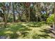 Expansive backyard featuring a lush lawn and mature trees, providing a serene and private outdoor space at 2938 Old Drake Dr, Seabrook Island, SC 29455