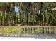 Scenic backyard view from the deck, with lush greenery and mature trees, offering a private and peaceful setting at 2938 Old Drake Dr, Seabrook Island, SC 29455