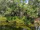 Picturesque pond view, surrounded by lush trees, enhances the property's natural beauty and tranquility at 2938 Old Drake Dr, Seabrook Island, SC 29455