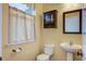 Cozy bathroom featuring pedestal sink, toilet, window and dark wood vanity at 3903 Poplar Grove Pl, Summerville, SC 29483