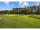 Large lush green backyard with treeline in the distance at 4140 Home Town Ln, Ravenel, SC 29470