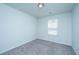 Neutral bedroom featuring plush carpeting, a window for natural light, and a ceiling light fixture at 431 Buckhannon Ln, Moncks Corner, SC 29461