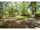 Spacious backyard with mature trees, a wooden fence, and a shed at 477 Commonwealth Rd, Mount Pleasant, SC 29466