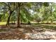 Expansive backyard with mature trees and lush greenery at 477 Commonwealth Rd, Mount Pleasant, SC 29466