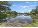 Scenic view of a community pond, reflecting a blue sky with trees lining the banks on a sunny day at 604 Longstreet St, Summerville, SC 29486