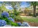 Spacious backyard featuring a wooden deck, blue hydrangeas, and mature trees at 652 Spinner Cir, Mount Pleasant, SC 29464