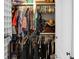 Walk-in closet featuring built-in shelving and ample hanging storage at 652 Spinner Cir, Mount Pleasant, SC 29464