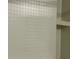 Shower wall with white tiling and built in shelves at 109 Rosefield Ct, Summerville, SC 29485