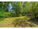 Lush backyard with mature trees, a cozy fire pit area, and ample space for outdoor activities and relaxation at 1098 Blue Marlin Dr, Charleston, SC 29412