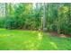 Well-maintained backyard with lush green grass and surrounding trees at 136 Fair Sailing Rd, Mount Pleasant, SC 29466