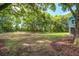 A beautifully manicured backyard with mature trees and lush green grass at 16 Oakwood Ln, Edisto Island, SC 29438