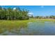 Marsh front scenery with native grasses reflecting the blue sky on a sunny day in South Carolina at 1971 N North Creek Dr, Mount Pleasant, SC 29466