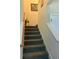 Carpeted stairs with white railing and a view of the upper level at 207 Short Woods Ct, Summerville, SC 29486