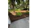Beautifully landscaped front yard featuring lush greenery, mulch, and mature shade trees at 213 Ashmont Dr, Wando, SC 29492