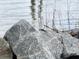 A crab sits on a rock near the water at 213 Ashmont Dr, Wando, SC 29492