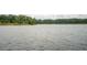 Picturesque lake view surrounded by lush trees and greenery, offering a serene backdrop at 233 Camber Rd, Huger, SC 29450