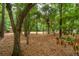 Serene wooded area provides a private and natural setting for the property at 233 Camber Rd, Huger, SC 29450