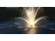 Nighttime view of an illuminated water fountain in a community pond at 754 Blue Iris Way, Summerville, SC 29486