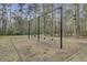 Community playground featuring swing sets surrounded by mature trees at 1111 Basildon Rd, Mount Pleasant, SC 29466