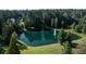 Aerial view of estate property with a serene pond featuring a fountain, surrounded by a lush green lawn and dense trees at 1130 Plantation Overlook Dr, Moncks Corner, SC 29461