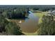 Aerial view of a tranquil pond with fountain feature surrounded by lush, green trees at 1130 Plantation Overlook Dr, Moncks Corner, SC 29461