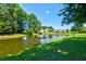 Scenic pond view surrounded by lush greenery and charming homes in a tranquil community setting at 143 Dorothy Dr, Charleston, SC 29414