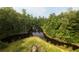 Scenic view of the pond surrounded by lush greenery, creating a peaceful retreat at 1613 Cavanaugh Rd, Walterboro, SC 29488