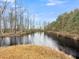Scenic view of the pond surrounded by grasses and trees under a blue sky at 1613 Cavanaugh Rd, Walterboro, SC 29488