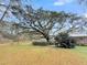 Expansive yard featuring a mature live oak tree draped with Spanish moss, creating a picturesque landscape at 1613 Cavanaugh Rd, Walterboro, SC 29488
