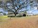 Spacious yard showcasing the home's exterior, complemented by a large live oak, a barn, and lush greenery at 1613 Cavanaugh Rd, Walterboro, SC 29488
