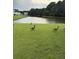 Well-maintained lawn and a picturesque pond enhance the beauty of the property, with wildlife adding to the charm at 207 Congaree River Dr, Summerville, SC 29485
