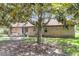Charming home's backyard with a patio set under a large tree with a brick exterior at 208 Janice St, Goose Creek, SC 29445