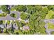 Overhead shot of a residential area with well-maintained homes and green lawns amid mature trees at 2773 Forest Dew Ct, Charleston, SC 29414