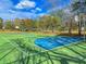 Brightly painted basketball courts with green and blue surfacing, surrounded by trees at 2773 Forest Dew Ct, Charleston, SC 29414