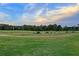 Expansive driving range with manicured fairways and neatly arranged ball carts for golfers at 3257 Heathland Way, Mount Pleasant, SC 29466