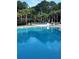 Community pool area with lounge chairs and gazebo surrounded by tall palm trees at 3257 Heathland Way, Mount Pleasant, SC 29466