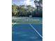 Multi-court tennis area with attractive blue and green color scheme and black perimeter fencing at 3257 Heathland Way, Mount Pleasant, SC 29466